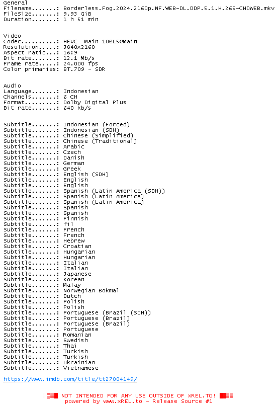 Borderless.Fog.2024.2160p.NF.WEBDL.DDP.5.1.H.265CHDWEB NFODatei